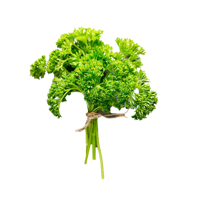 Curly Parsley, BD