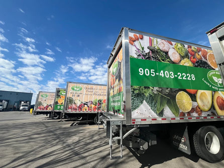 Introducing Our Professional Truck Team