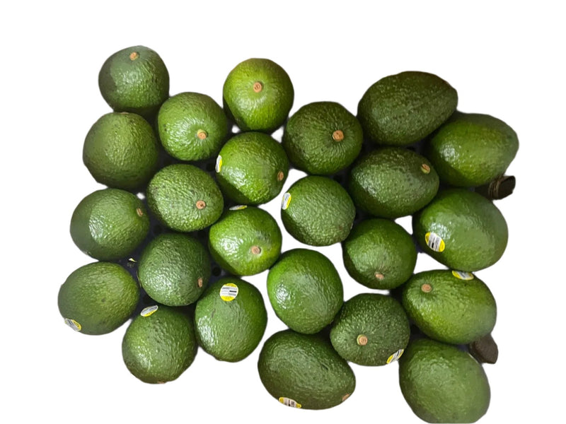 Avocado, Case (40 Counts)