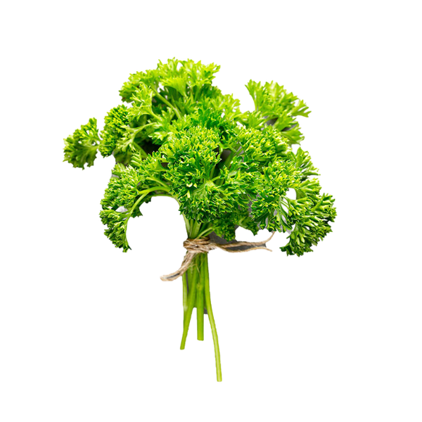 Curly Parsley,  BD