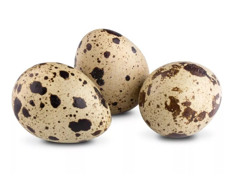 Quail Eggs in Water (12x850 g) Garden & Greens