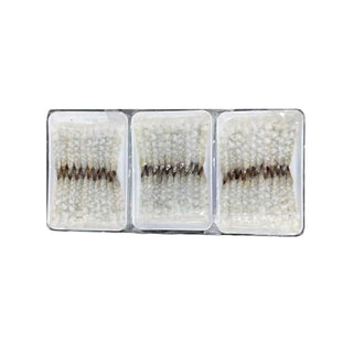 O & C Nobashi Ebi (Vannamei) 26-30, Case (30x20's)