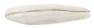 Frozen Escolar Fillet (27 lb) Teion