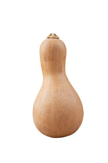 Butternut Squash #30 (lb)