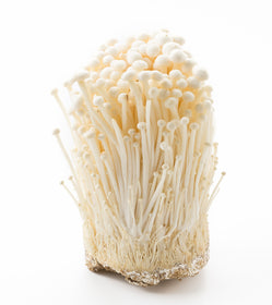 Mushroom Enoki China (25x 200 g)