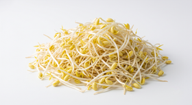 Soy Bean Sprout, Bag (20 LBs)