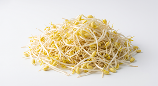 Soy Bean Sprout, Bag (20 LBs)