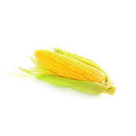 Corn, 48 CT