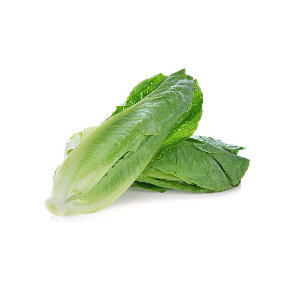 Romaine Lettuce, 24 CT