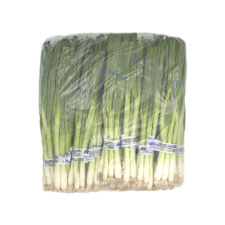 Green Onions / Scallions, 48 CT