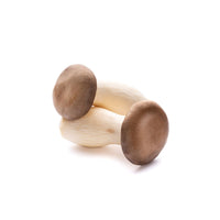 King Oyster Mushroom, 3 LBs