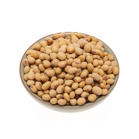 Raw Soy Beans, 5 LBs
