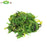Seaweed Salad BG (6x2KG)