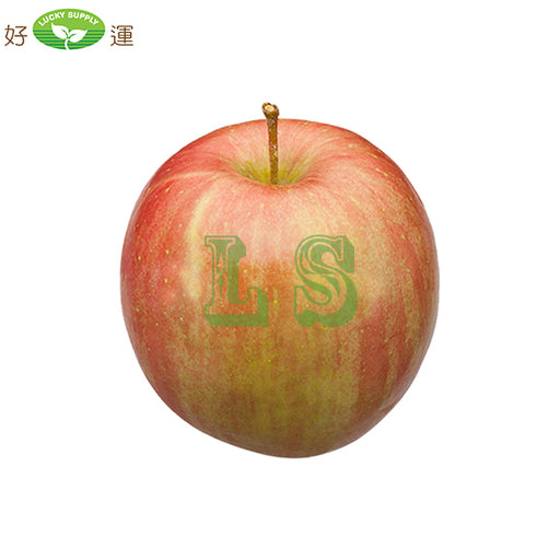USA Fuji Apple