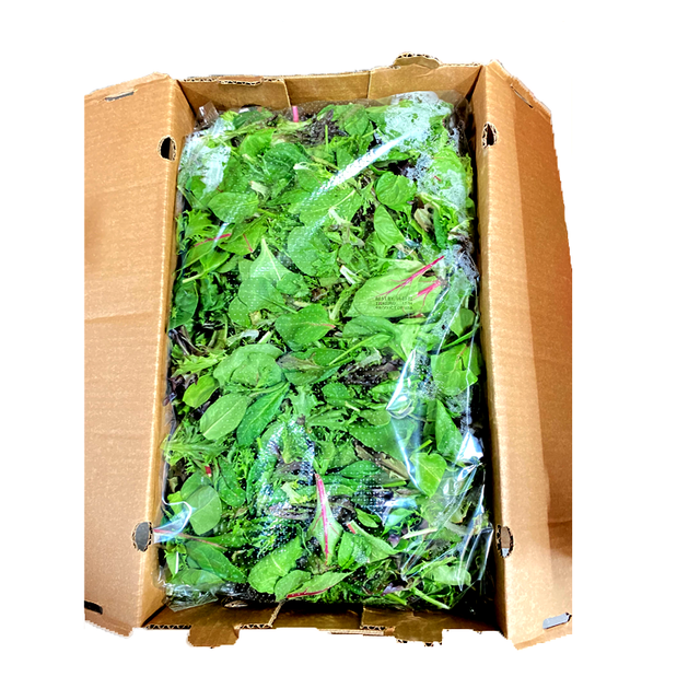 Spring Mix Salad, Case (3 LBs)