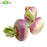 White Turnip (25LB)