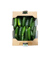 Zucchini, small Case (22 LBs)