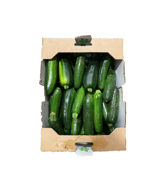 Zucchini, small Case (22 LBs)